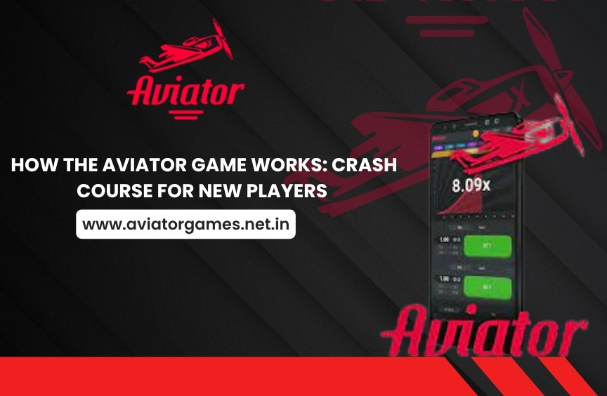 How the Aviator Game Works: Crash Course for New Players